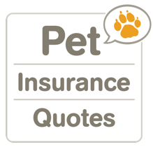 How Much Does Pet Insurance Cost?